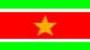 Surinaamse Vlag